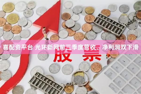 喜配资平台 光环新网前三季度营收、净利润双下滑