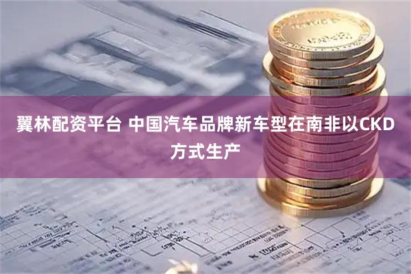 翼林配资平台 中国汽车品牌新车型在南非以CKD方式生产