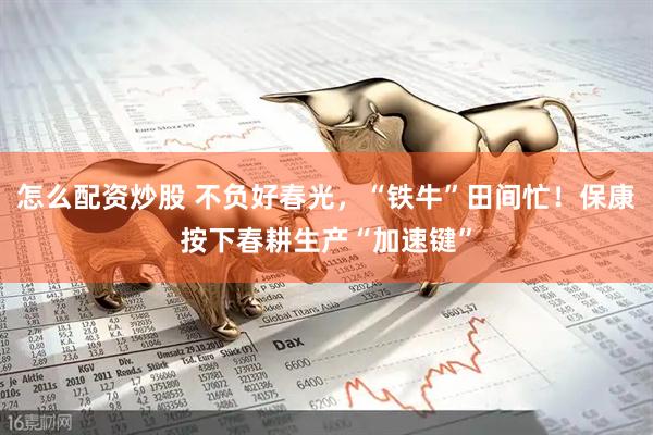 怎么配资炒股 不负好春光，“铁牛”田间忙！保康按下春耕生产“加速键”