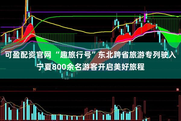 可盈配资官网 “趣旅行号”东北跨省旅游专列驶入宁夏800余名游客开启美好旅程