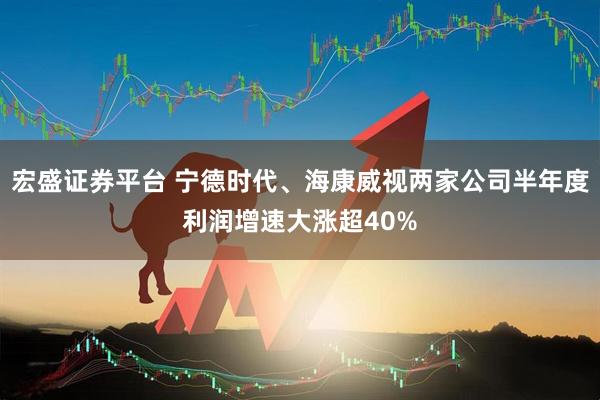 宏盛证券平台 宁德时代、海康威视两家公司半年度利润增速大涨超40%